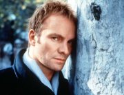 Sting Fragile