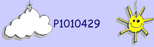 P1010429
