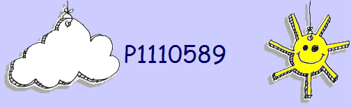 P1110589