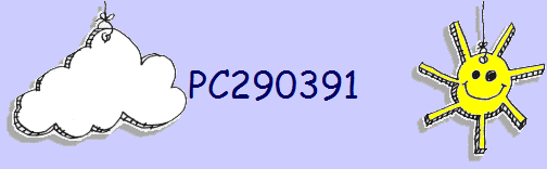 PC290391