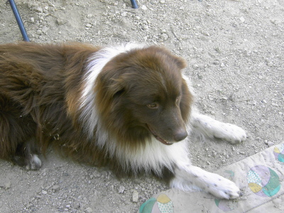PICT0567